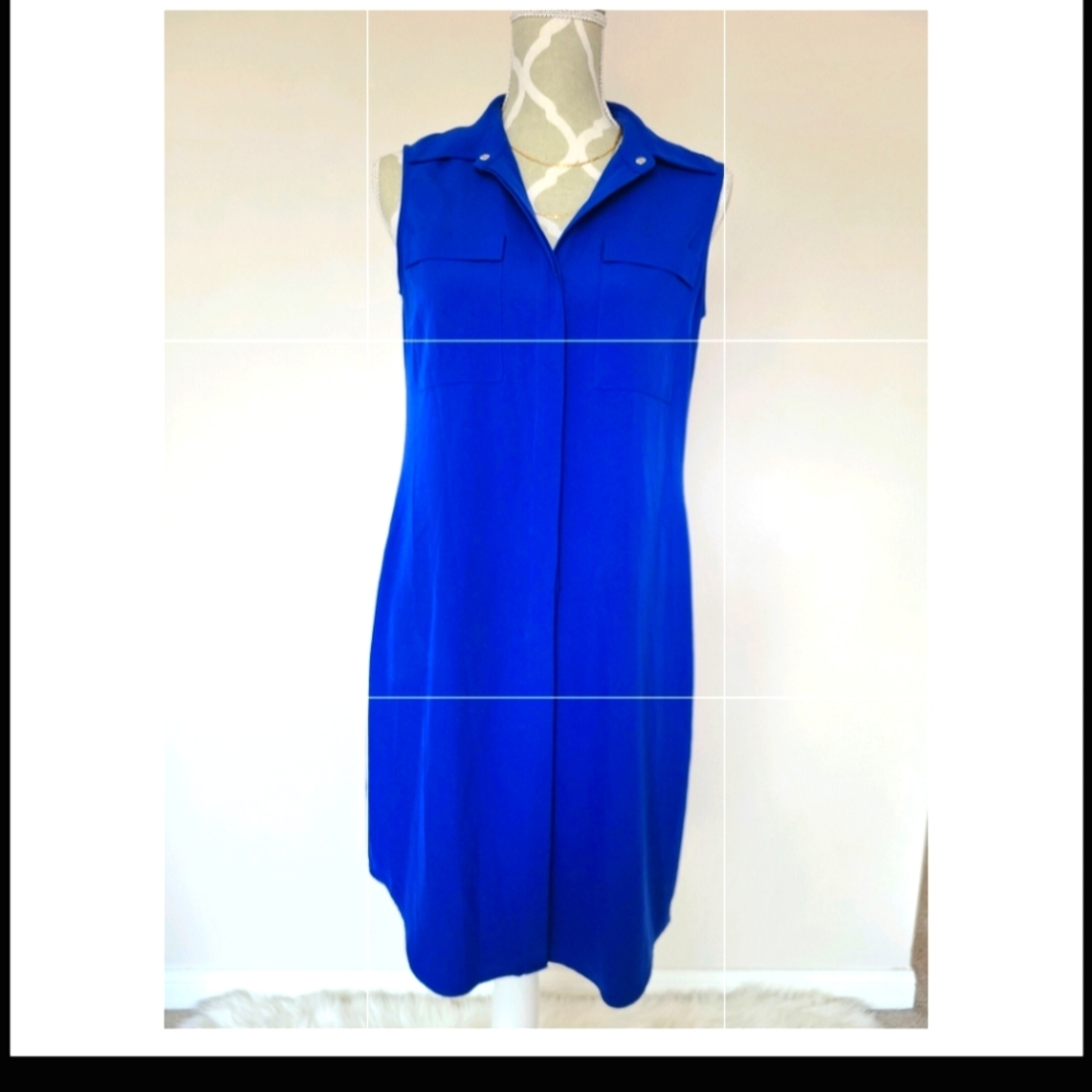 Blue Button down Shirt Dress